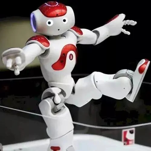 Humanoid Robot with 25 Degrees of Freedom Mobility and Advanced Sensors, App Control Veldora