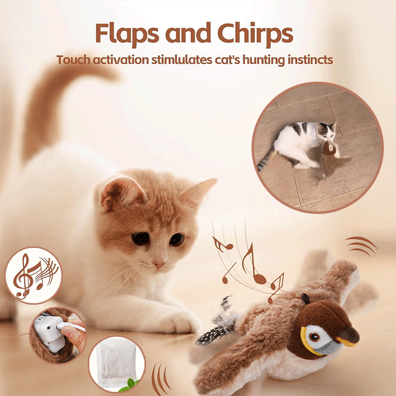 Interactive Cat Toy with Motion-Activated Chirps and Feather Tail, USB Rechargeable Veldora