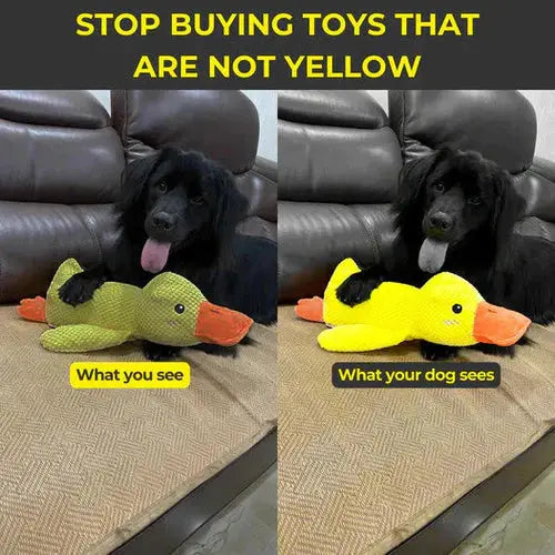 Plush Duck Toy for Dogs with Low Quack and Durable Soft Fabric, Machine Washable Veldora