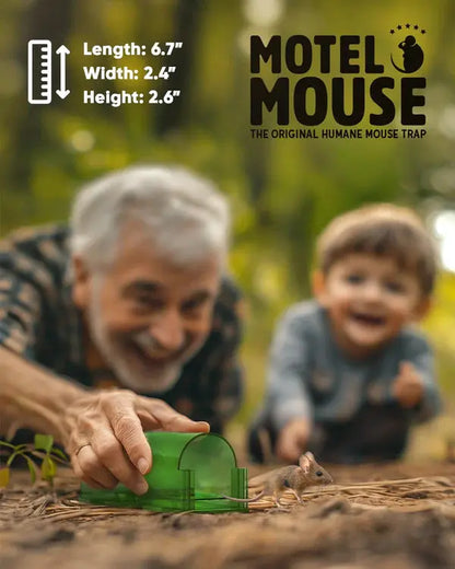 4-Pack Mouse Traps, Effective Rodent Control Solution vanistore-store