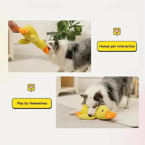 Plush Duck Toy for Dogs with Low Quack and Durable Soft Fabric, Machine Washable Veldora