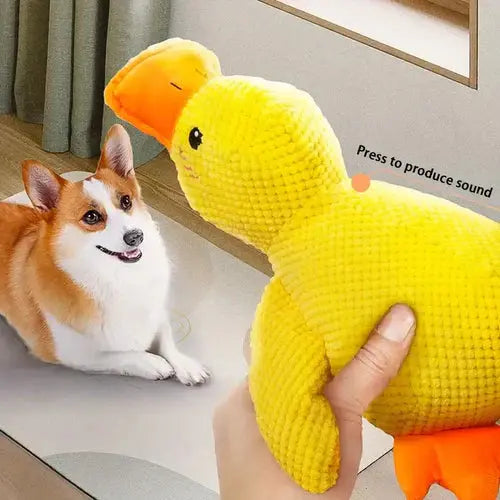 Plush Duck Toy for Dogs with Low Quack and Durable Soft Fabric, Machine Washable Veldora