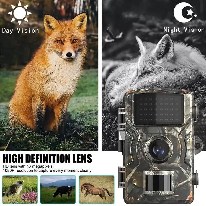 Trail Camera with No-Glow Infrared and 16MP Stills, 1080P Video Veldora