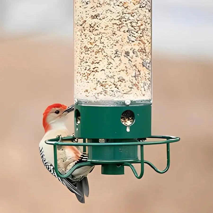 Squirrel Resistant Bird Feeder with Weight-Sensitive Spinning Perch and 5 lb Capacity Veldora