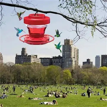 Hummingbird Feeder with Ant Moat and Eight Feeding Ports, 16 Oz Capacity Veldora