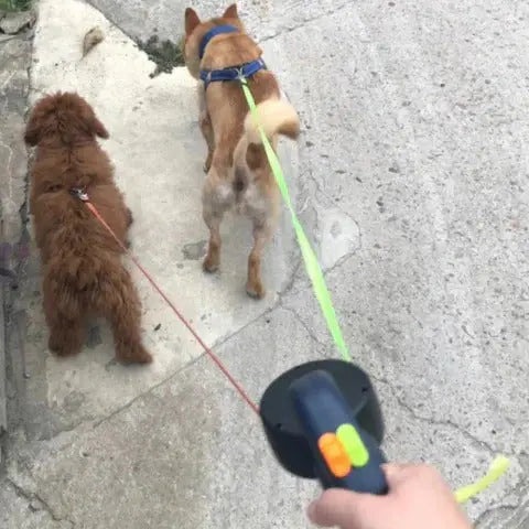 Retractable Dog Leash with LED Light and 360° Swivel, Dual Tangle-Resistant Design Veldora