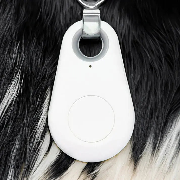 Bluetooth Pet Tracker with Water-Resistant Case and Proximity Find, Long Battery Life Veldora