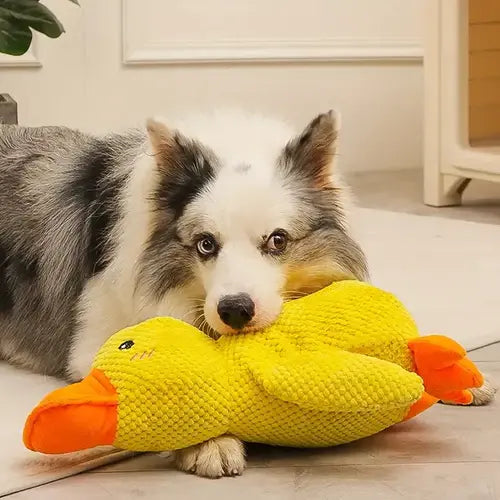 Plush Duck Toy for Dogs with Low Quack and Durable Soft Fabric, Machine Washable Veldora