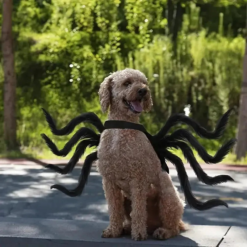 Spider Costume for Pets with Articulated Legs and Adjustable Fit, Soft Breathable Fabric Veldora