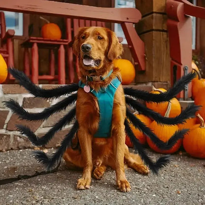 Spider Costume for Pets with Articulated Legs and Adjustable Fit, Soft Breathable Fabric Veldora