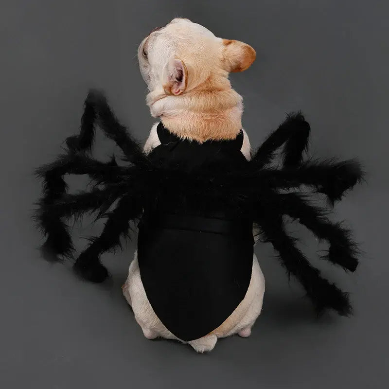 Spider Costume for Pets with Articulated Legs and Adjustable Fit, Soft Breathable Fabric Veldora