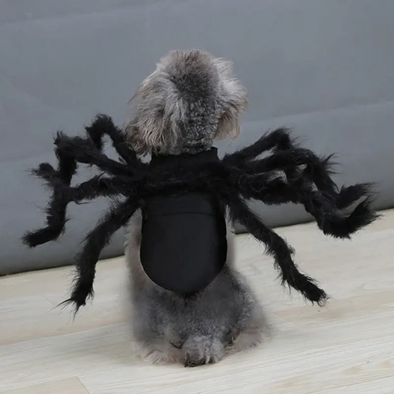 Spider Costume for Pets with Articulated Legs and Adjustable Fit, Soft Breathable Fabric Veldora