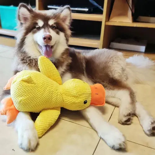 Plush Duck Toy for Dogs with Low Quack and Durable Soft Fabric, Machine Washable Veldora