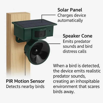 Solar Motion Sensor Bird Repellent with Adjustable Sound and PIR Sensor, Weatherproof Veldora