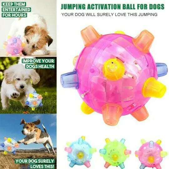 Interactive Dog Toy with Random Hopping and LED Lights, Battery Operated Veldora