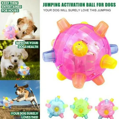 Interactive Dog Toy with Random Hopping and LED Lights, Battery Operated Veldora